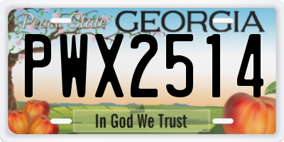 GA license plate PWX2514