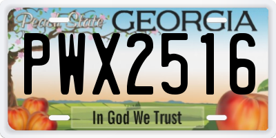 GA license plate PWX2516