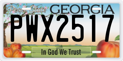 GA license plate PWX2517