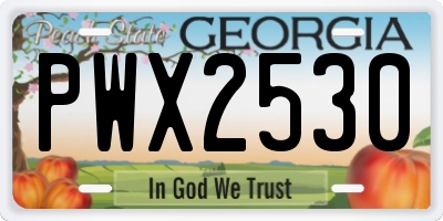 GA license plate PWX2530
