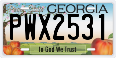 GA license plate PWX2531