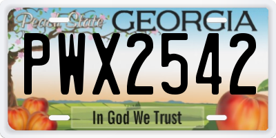 GA license plate PWX2542