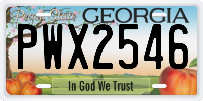 GA license plate PWX2546