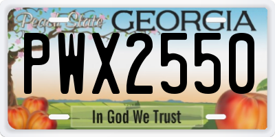 GA license plate PWX2550