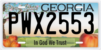 GA license plate PWX2553