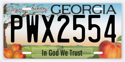 GA license plate PWX2554