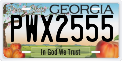 GA license plate PWX2555