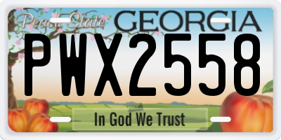 GA license plate PWX2558