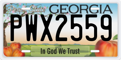 GA license plate PWX2559