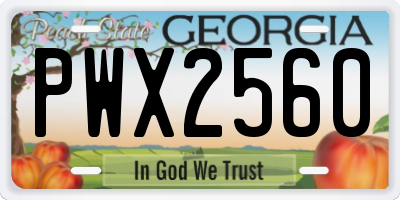 GA license plate PWX2560