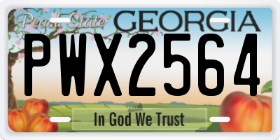 GA license plate PWX2564