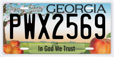 GA license plate PWX2569