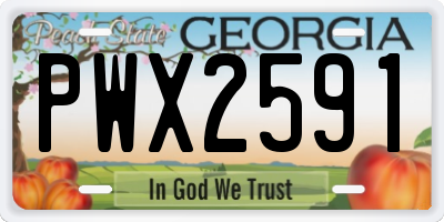 GA license plate PWX2591
