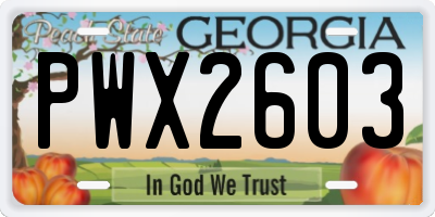 GA license plate PWX2603