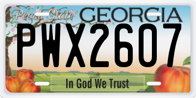 GA license plate PWX2607