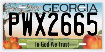 GA license plate PWX2665