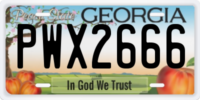 GA license plate PWX2666