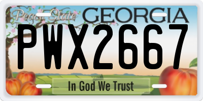 GA license plate PWX2667
