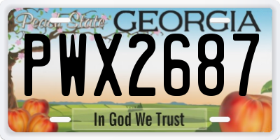 GA license plate PWX2687