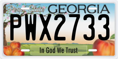 GA license plate PWX2733