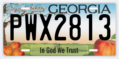 GA license plate PWX2813