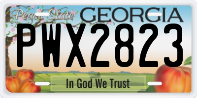 GA license plate PWX2823