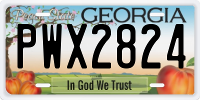 GA license plate PWX2824