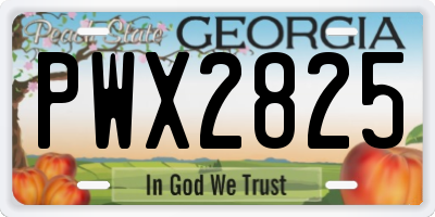 GA license plate PWX2825