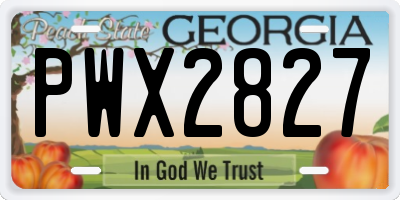 GA license plate PWX2827
