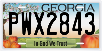 GA license plate PWX2843