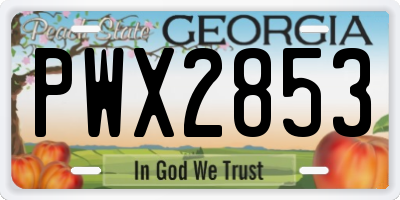 GA license plate PWX2853