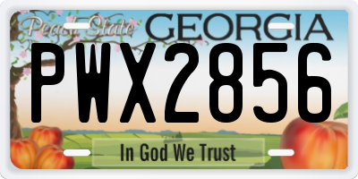 GA license plate PWX2856