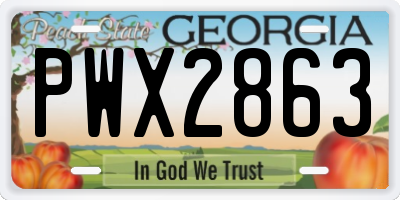 GA license plate PWX2863