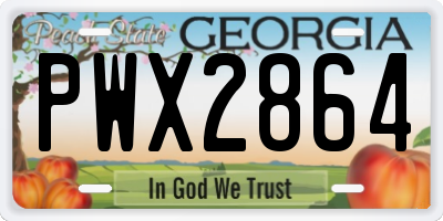 GA license plate PWX2864