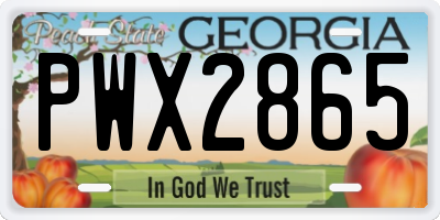 GA license plate PWX2865