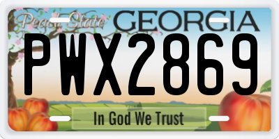 GA license plate PWX2869