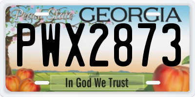 GA license plate PWX2873