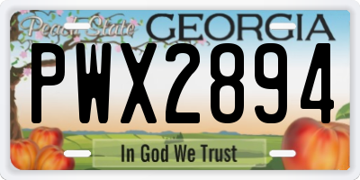 GA license plate PWX2894