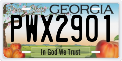 GA license plate PWX2901