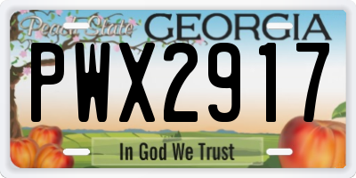 GA license plate PWX2917