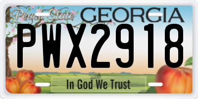 GA license plate PWX2918