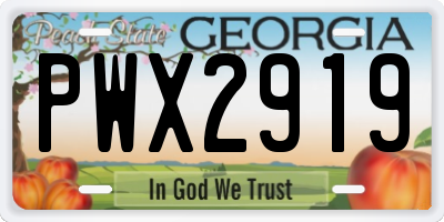 GA license plate PWX2919