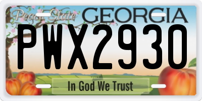 GA license plate PWX2930
