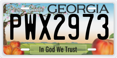 GA license plate PWX2973