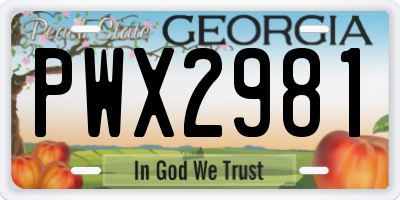 GA license plate PWX2981