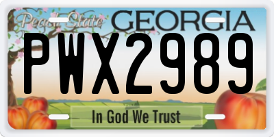 GA license plate PWX2989