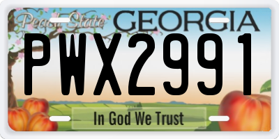 GA license plate PWX2991