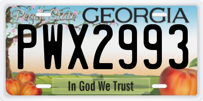 GA license plate PWX2993