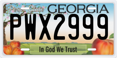 GA license plate PWX2999