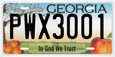 GA license plate PWX3001